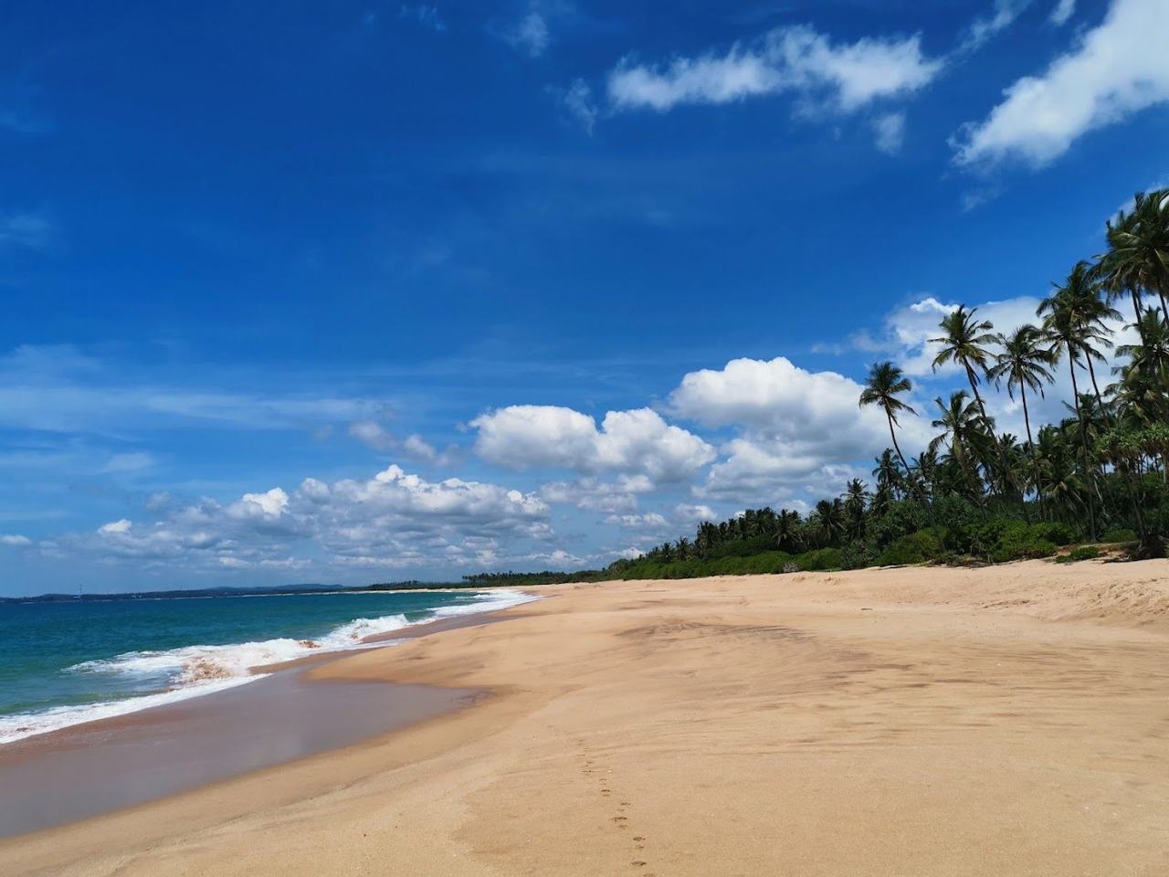Rekawa Beach wild turtle nesting sanctuary sand near Tangalle on the Sri Lanka south coast