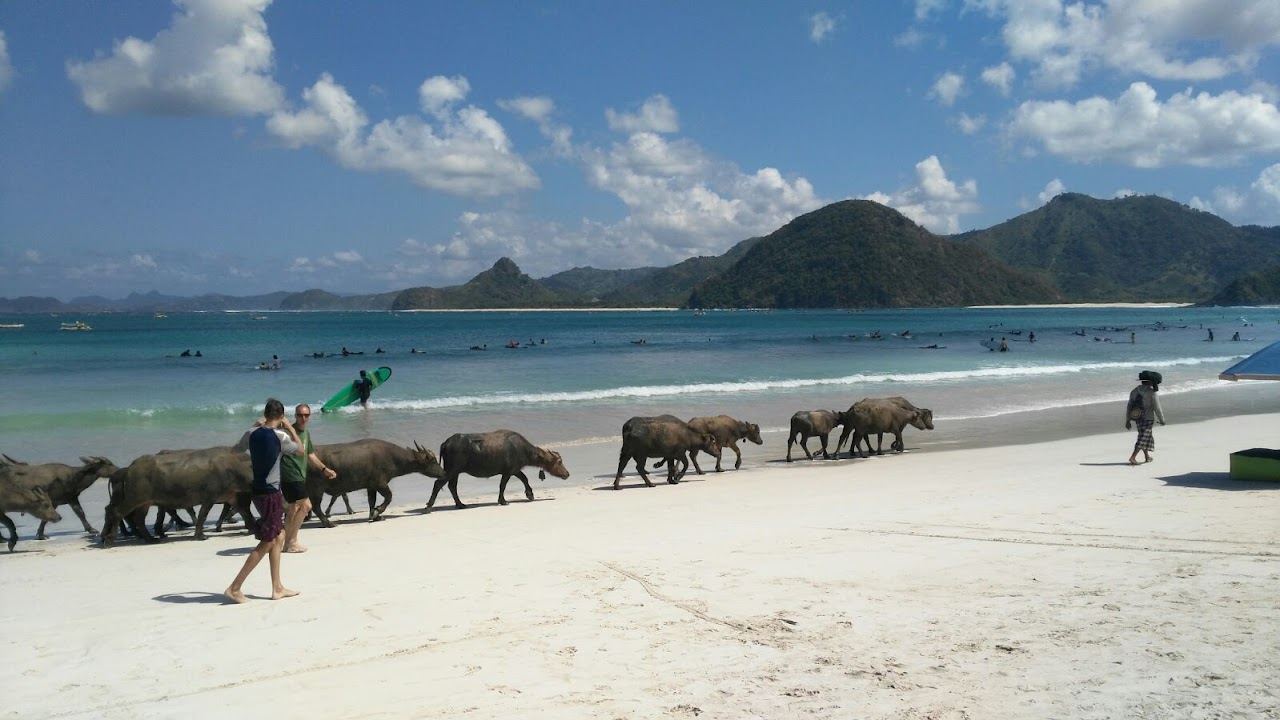 The pale horseshoe curve of Selong Belanak bay with hills behind