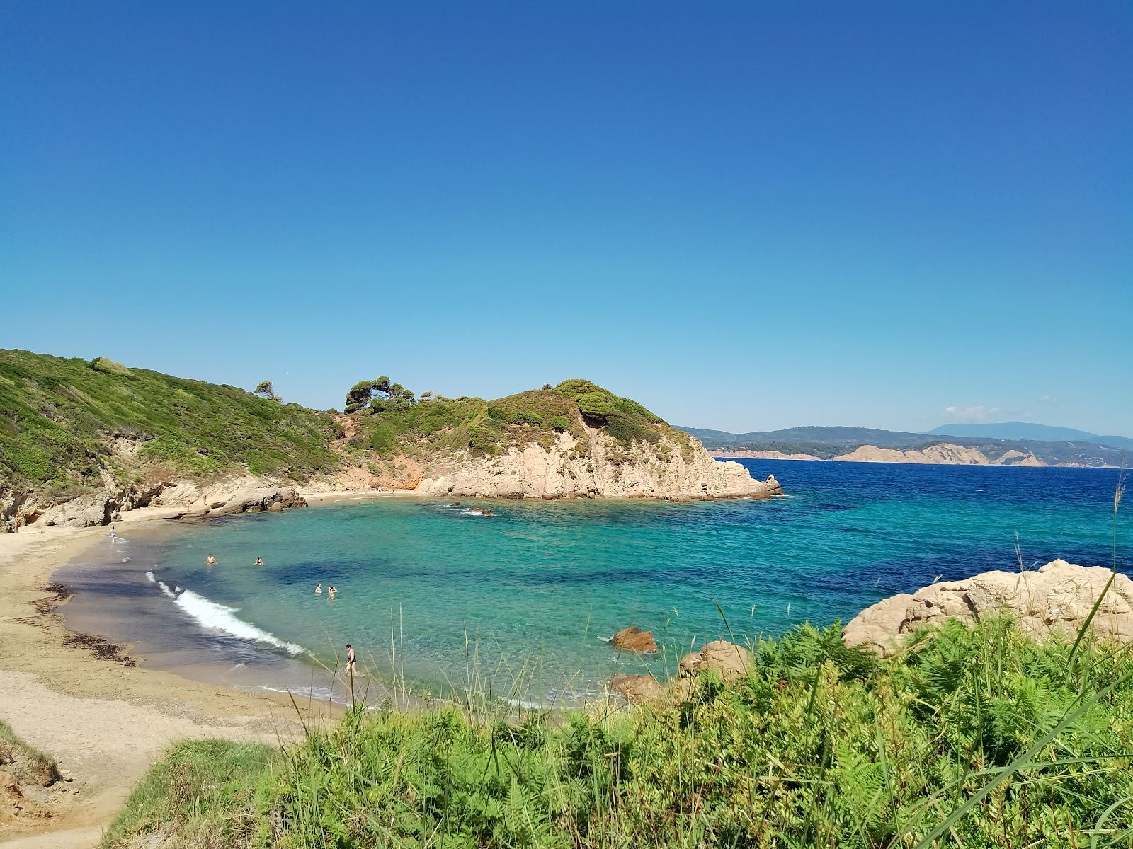 A quiet wild cove with clear water and pine on the coast of Skiathos