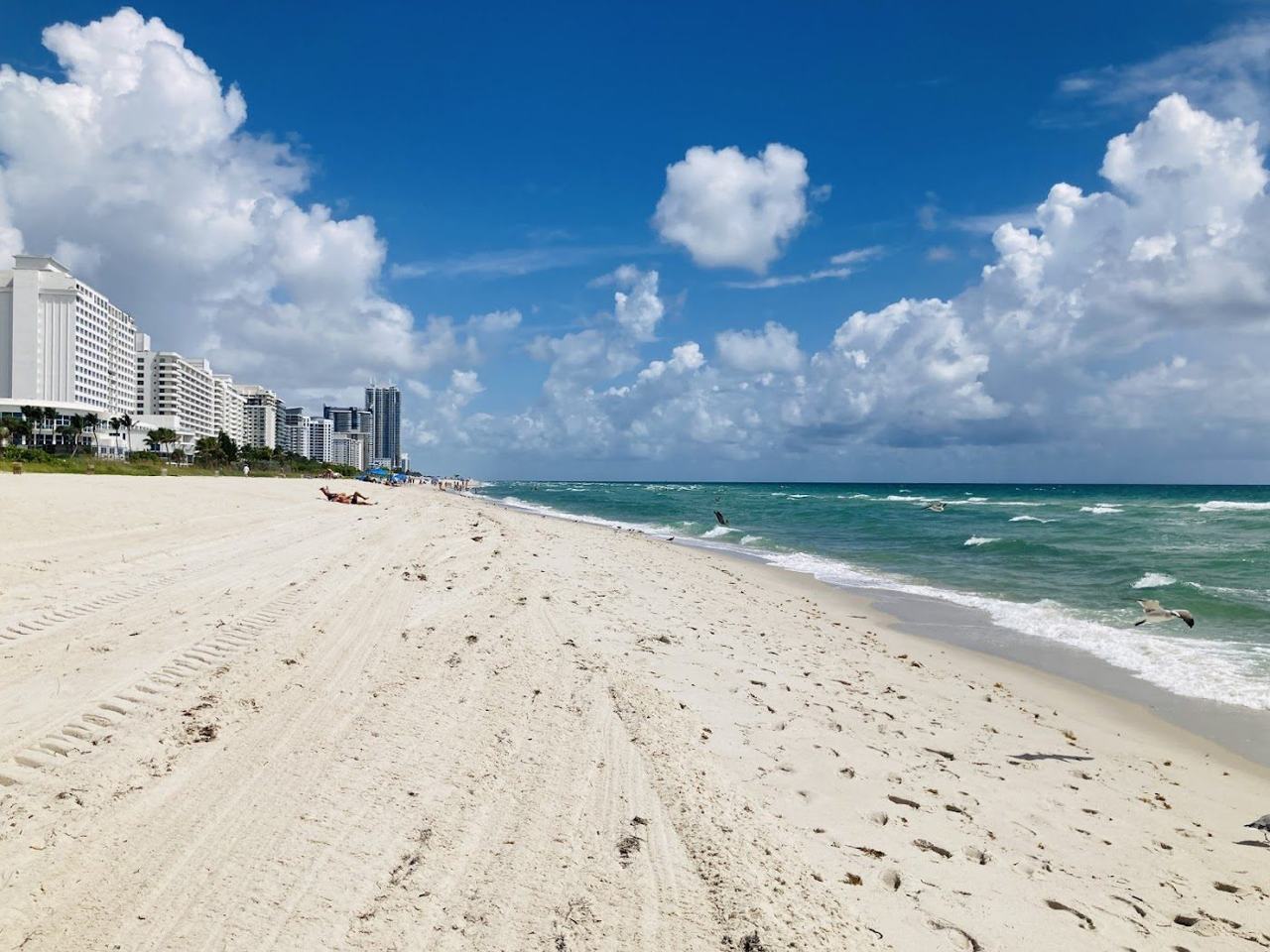 Surfside Beach Miami beach