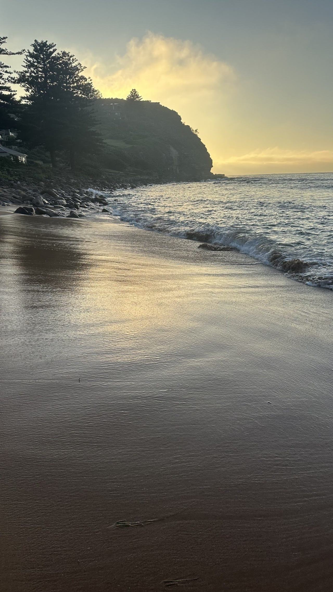 Avalon Beach Sydney, Sydney