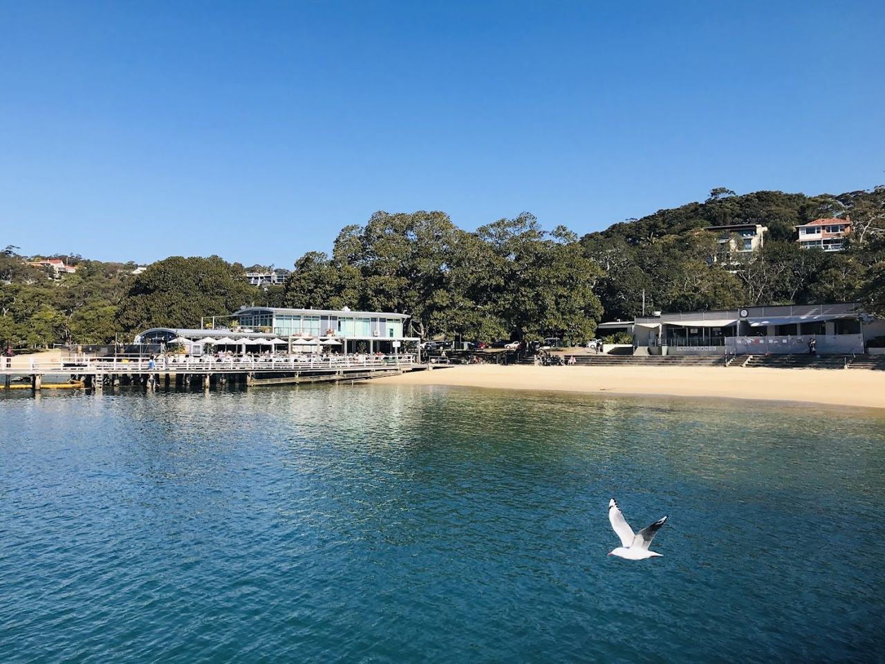 The calm netted harbour beach at Balmoral in Mosman, Sydney