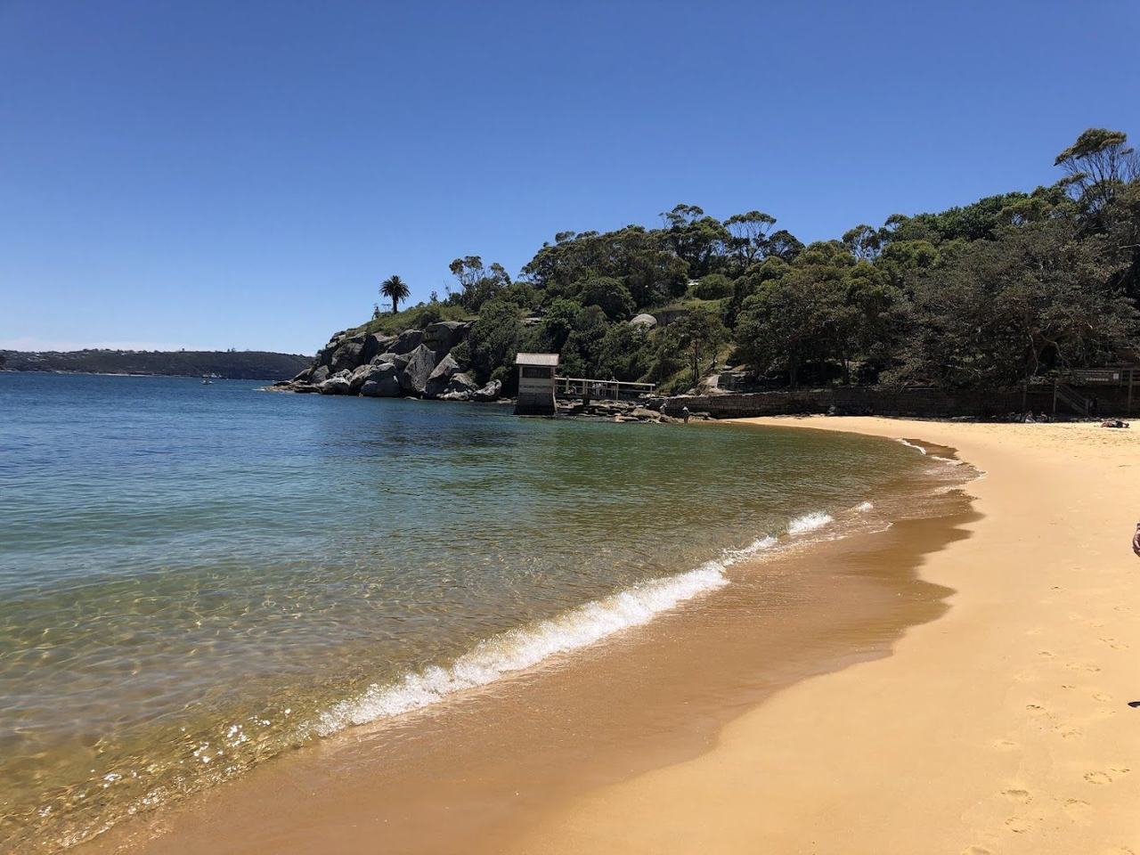 The small calm harbour beach at Camp Cove near Watsons Bay in Sydney