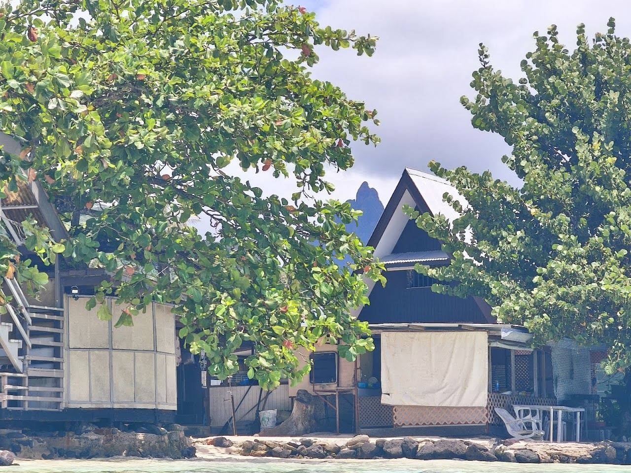 The white sand, palm backed lawn and calm turquoise lagoon of Ta'ahiamanu Beach on Moorea