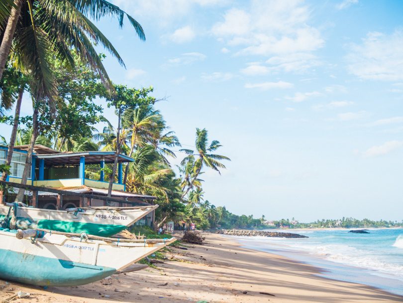 Tangalle Beach long wild palm backed sand on the Sri Lanka south coast