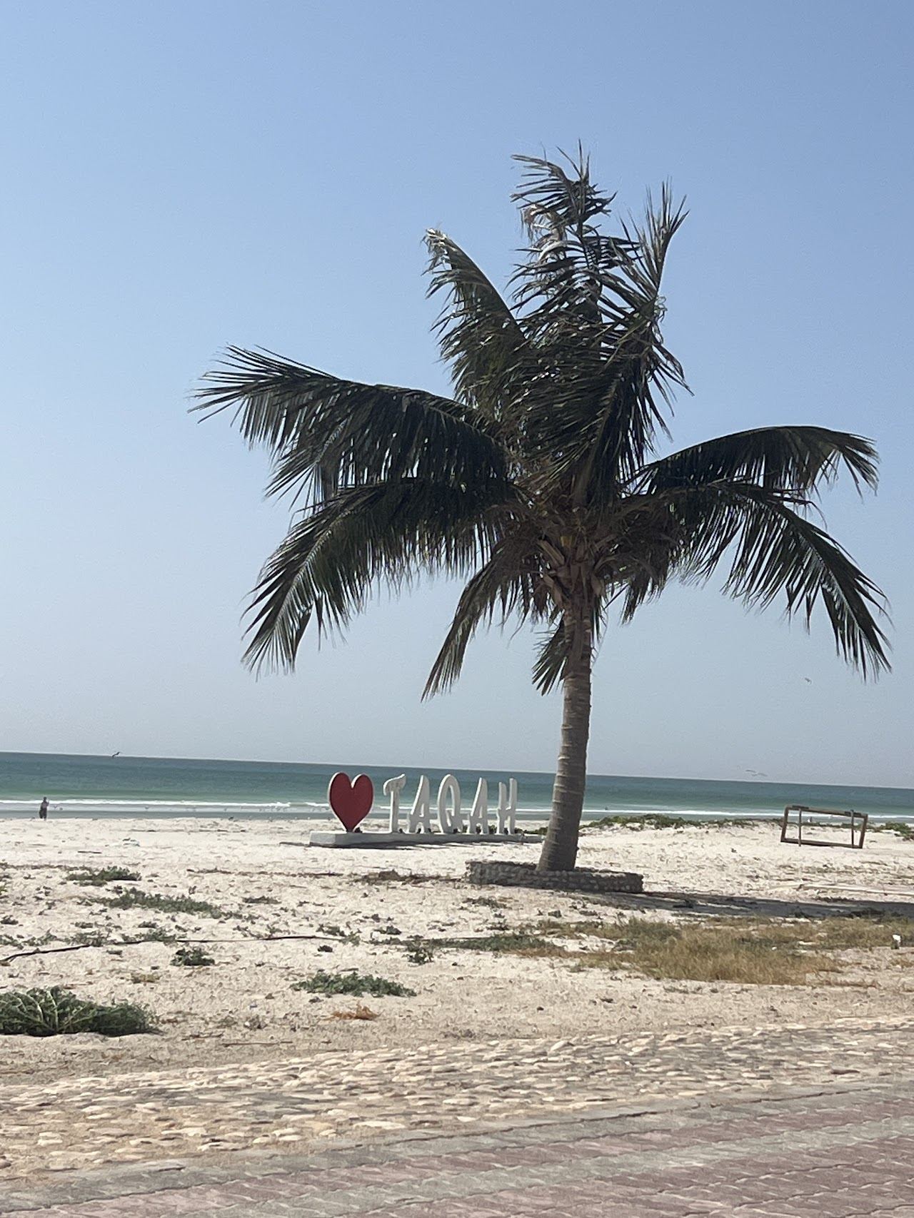 Wide white sand and palms at Taqah beach with the old fishing town behind east of Salalah