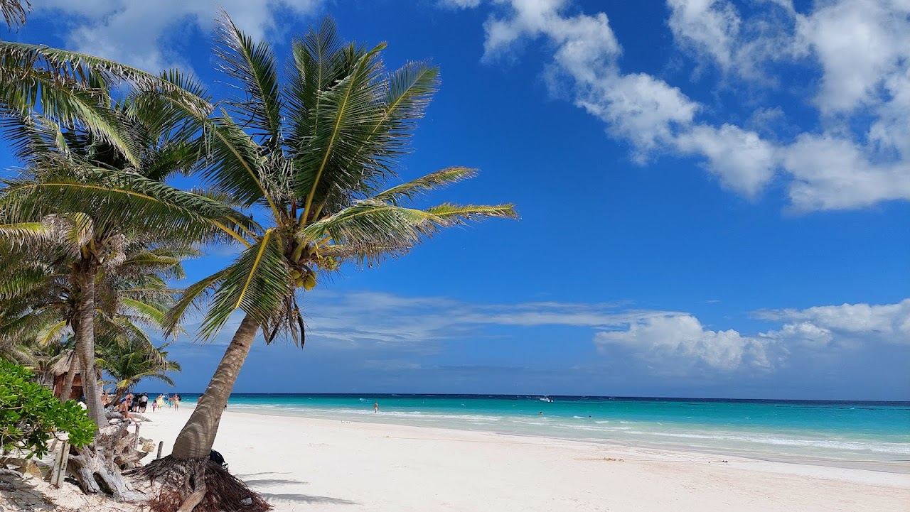The palm lined white sand shore of the Tulum hotel zone with turquoise Caribbean water