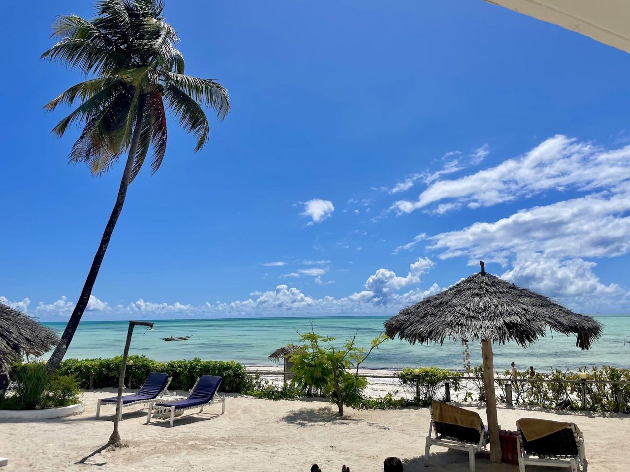 Palms and pale sand along the shore at Jambiani on the east coast of Zanzibar